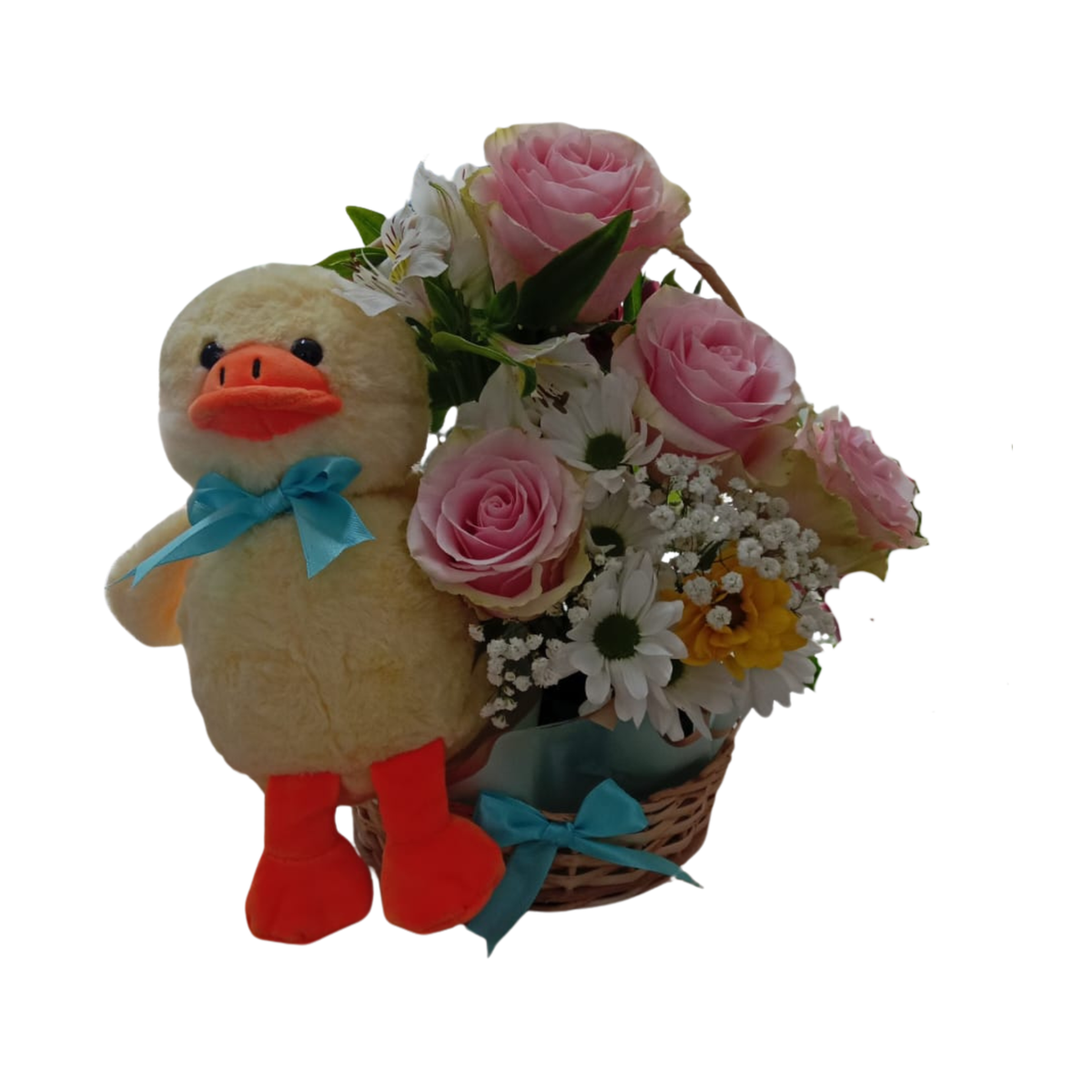 Baby blum- Patito