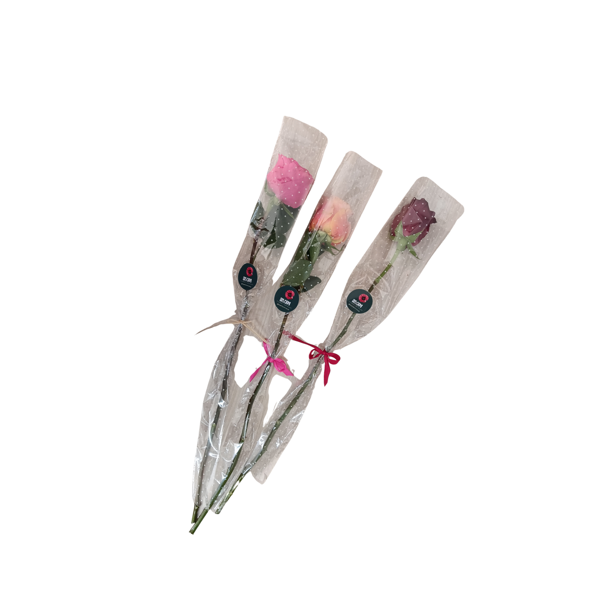 Pack 15 Rosas individuales